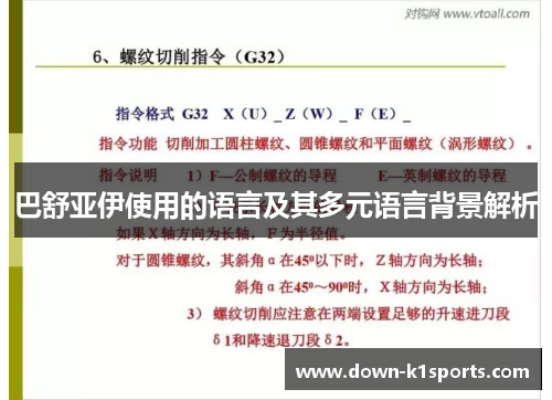 巴舒亚伊使用的语言及其多元语言背景解析