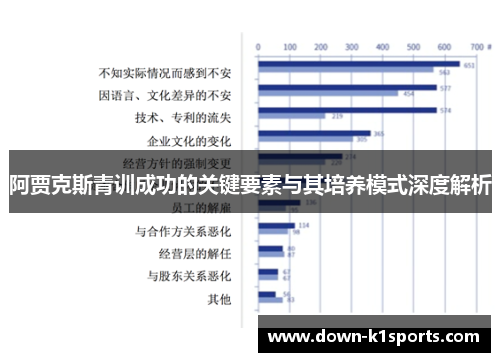 阿贾克斯青训成功的关键要素与其培养模式深度解析
