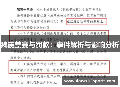 魏震禁赛与罚款：事件解析与影响分析