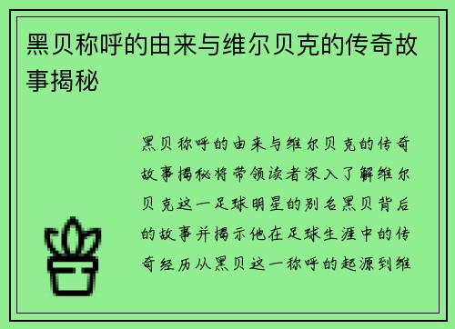 黑贝称呼的由来与维尔贝克的传奇故事揭秘