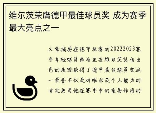 维尔茨荣膺德甲最佳球员奖 成为赛季最大亮点之一