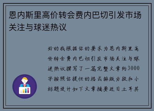 恩内斯里高价转会费内巴切引发市场关注与球迷热议